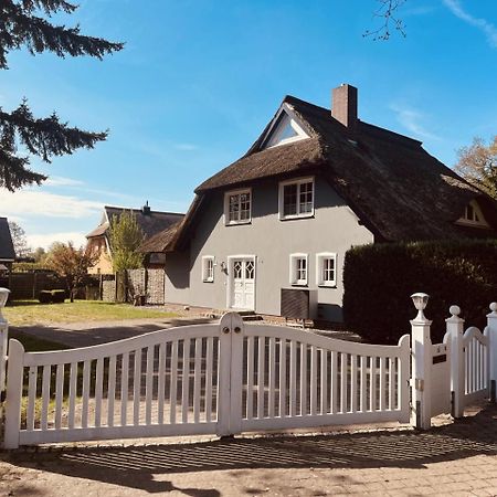Ferienwohnung Lasse In Wieck Exterior photo